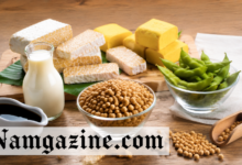 Insoya: The Story Behind This Emerging Soy-Based Food Term